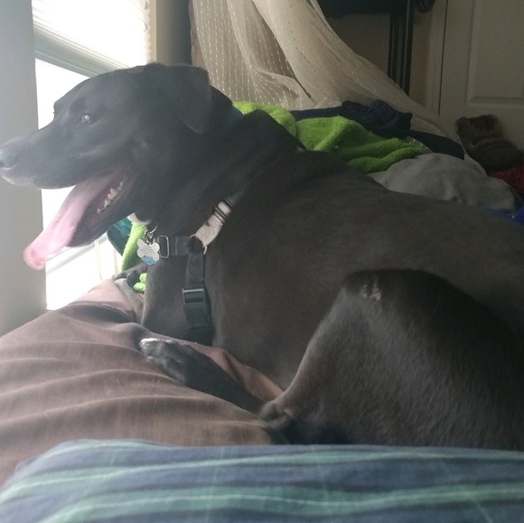 Meet your Posher, Lyndsay - Picture 1 of 2